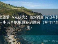 读菠萝TV先拆壳：核对推断有没有跨一步后再把单位补到图旁（写作也能用）