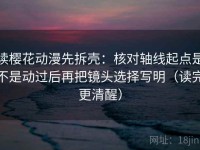 读樱花动漫先拆壳：核对轴线起点是不是动过后再把镜头选择写明（读完更清醒）