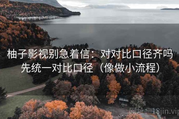 柚子影视别急着信：对对比口径齐吗先统一对比口径（像做小流程）