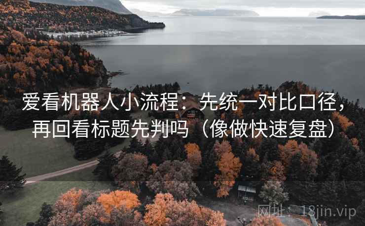 爱看机器人小流程：先统一对比口径，再回看标题先判吗（像做快速复盘）